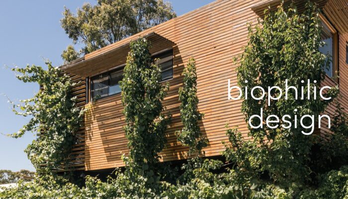 Biophilic Design Architecture: Integrating Nature for Healthier, Sustainable Spaces