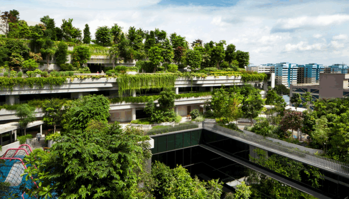Designing a Greener Future: How Architects Embrace Sustainable Innovation